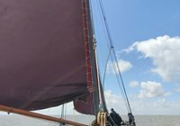Foto van Jelle Koek